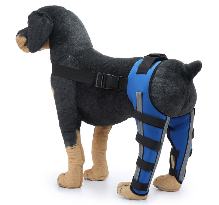 Dog Knee Pads